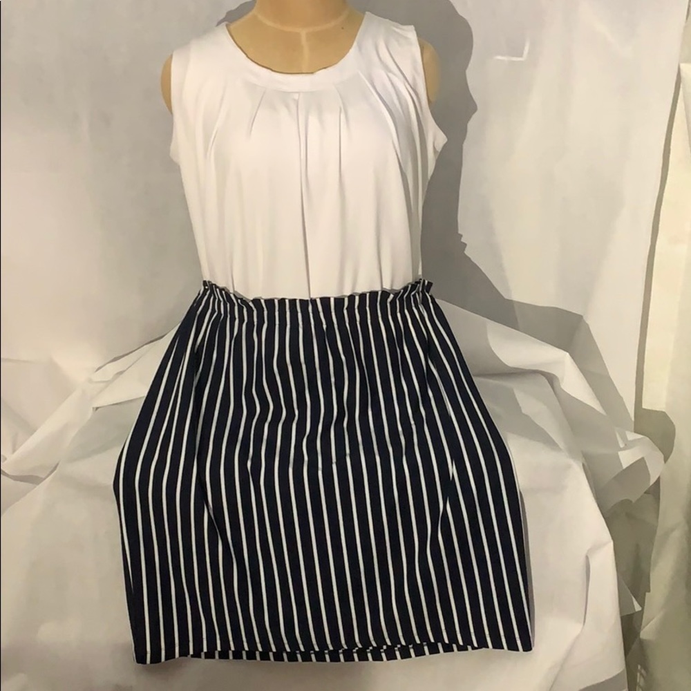 Navy Skirt with White Stripes